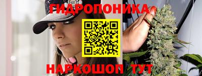 стаф Лесосибирск
