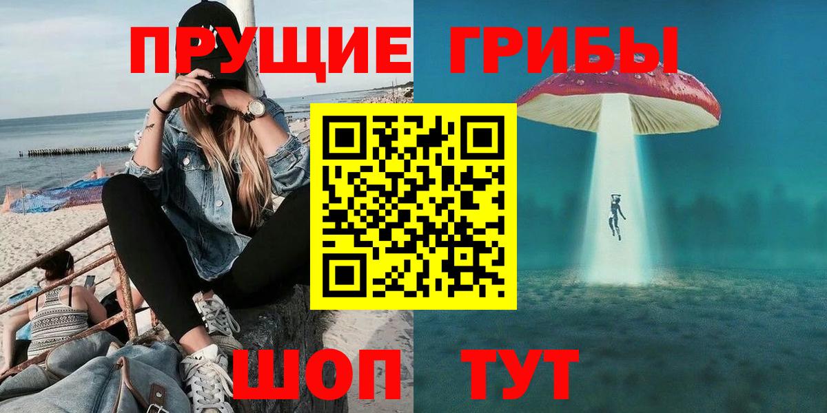 Галлюциногенные грибы MAGIC MUSHROOMS  Вход с VPN  Городец 