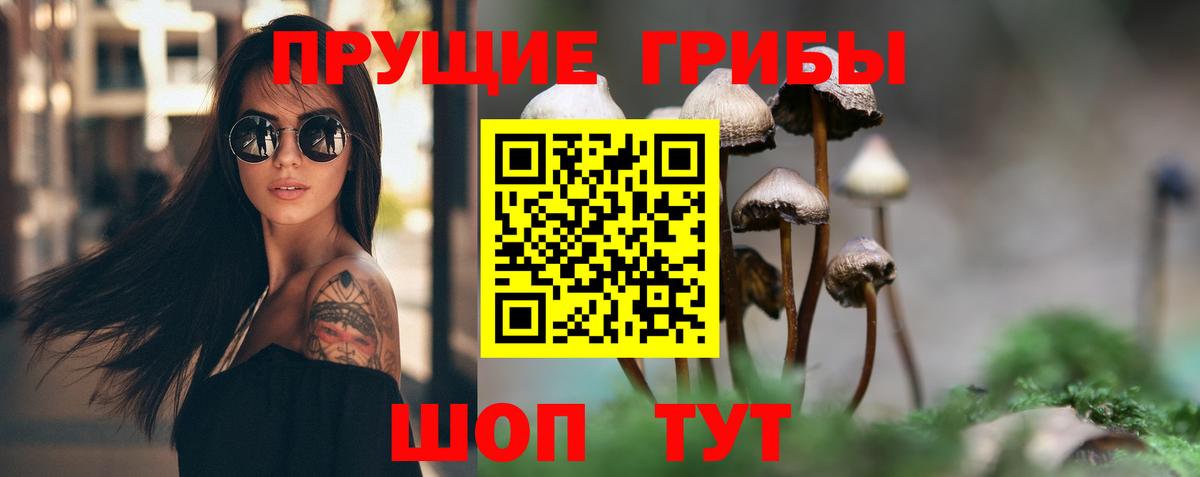 Галлюциногенные грибы MAGIC MUSHROOMS Городец